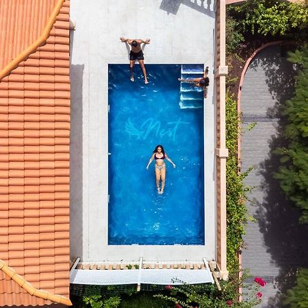Duque Nest Hostel 아데제 외부 사진
